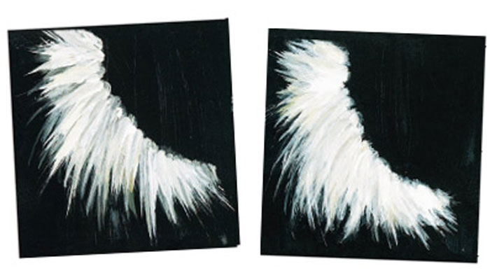 Katharina Daxenberger – Flügel, 2008